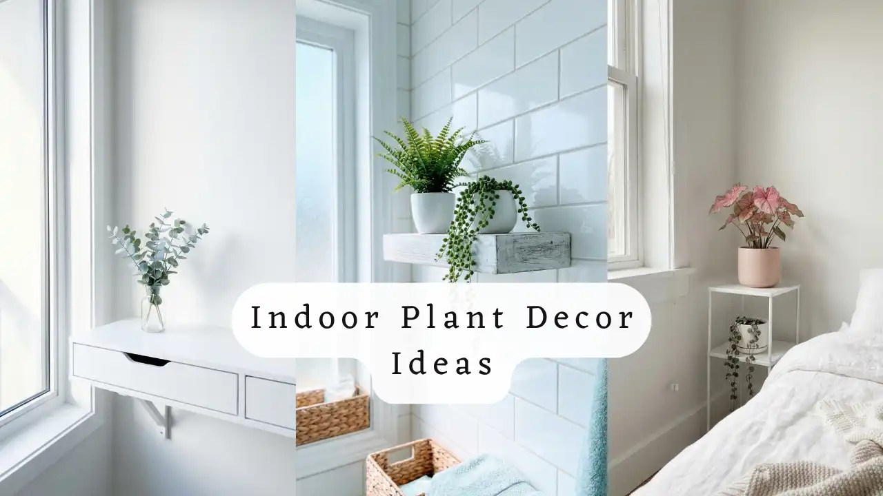 Indoor Plant Decor Ideas to Refresh Your Home with Natural Style
