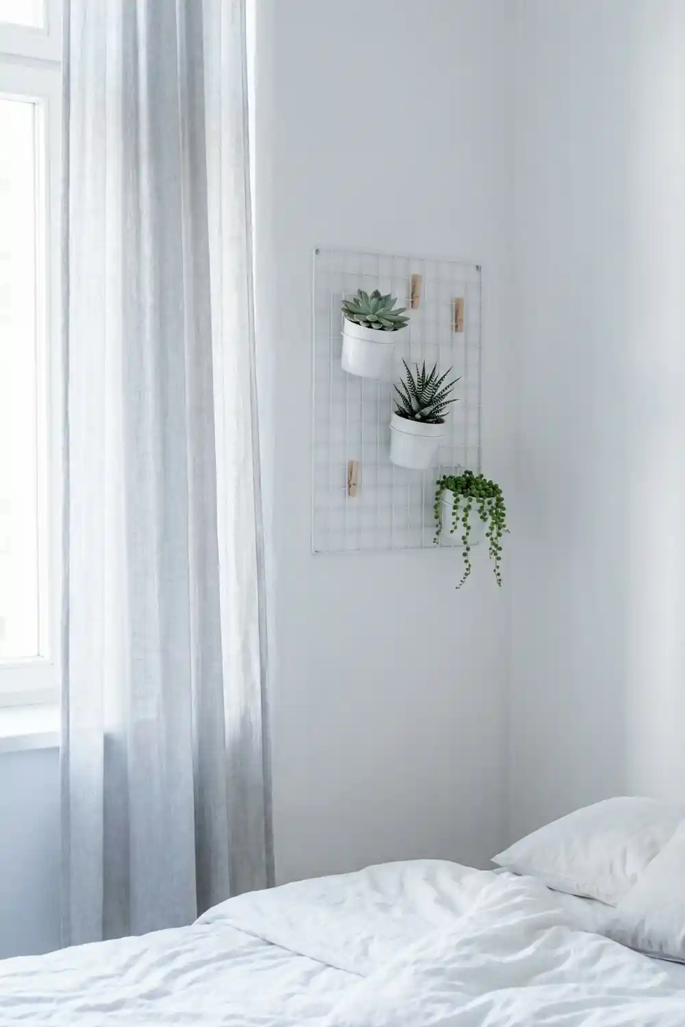 Airy indoor plant decor with succulents in white ceramic pots on wall mounted grid panel