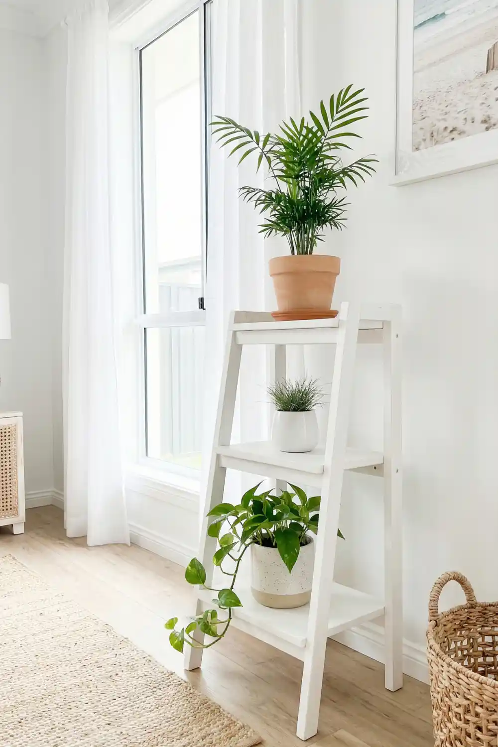 White wooden three tier plant stand with areca palm coastal grass and trailing pothos beside bright window