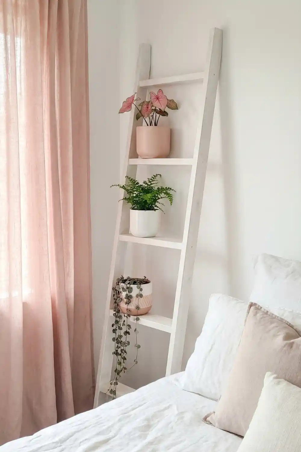 Feminine indoor plant decor with pink caladium fern and string of hearts on white plant ladder
