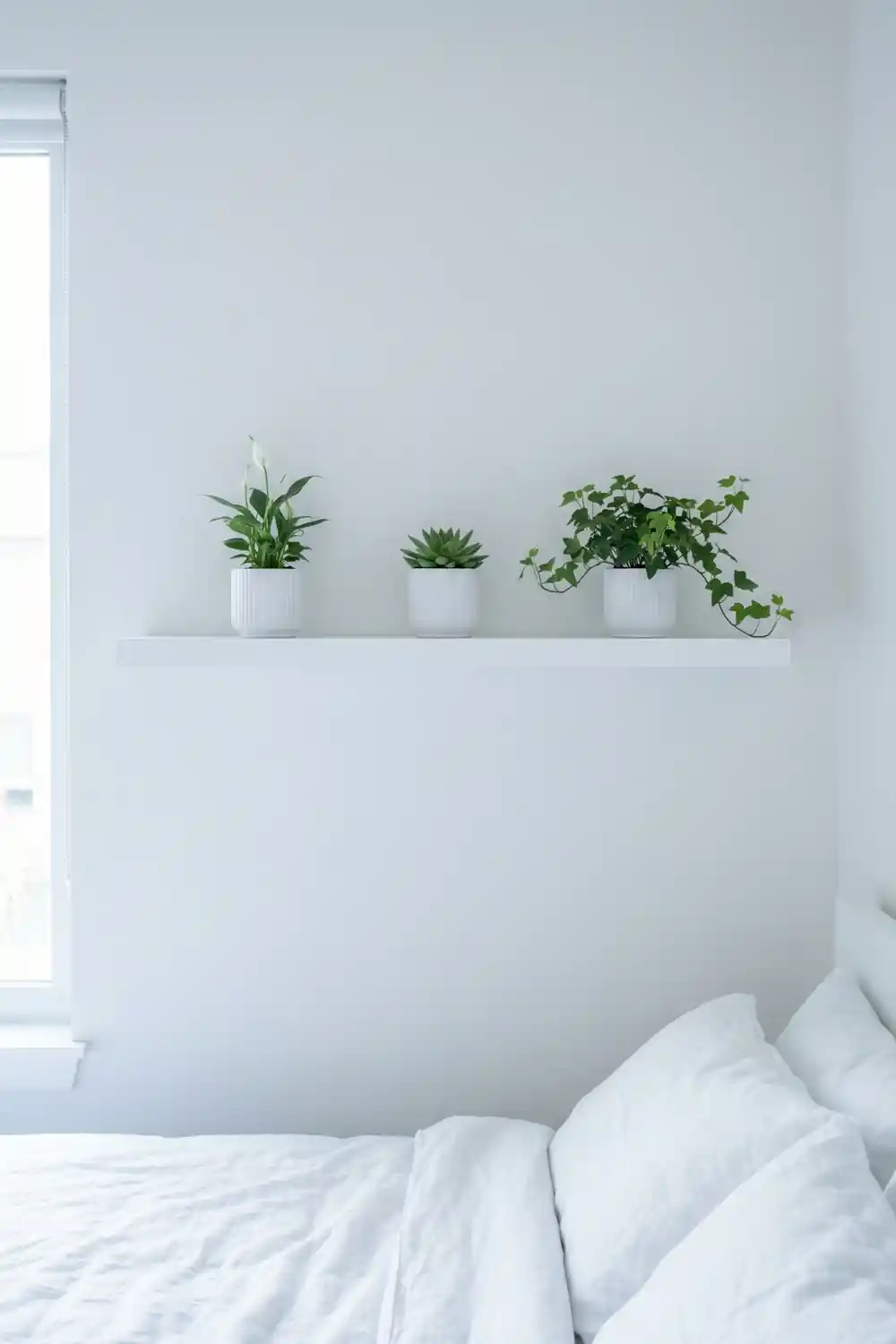 Slim white floating shelf in bedroom with peace lily succulent and trailing ivy in white ribbed ceramic pots