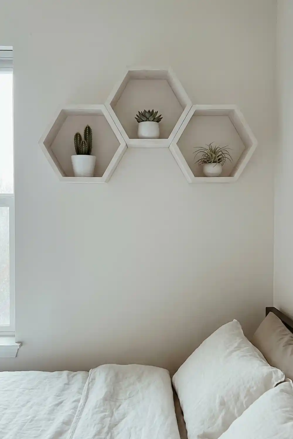 Minimalist hexagon shelf with plants