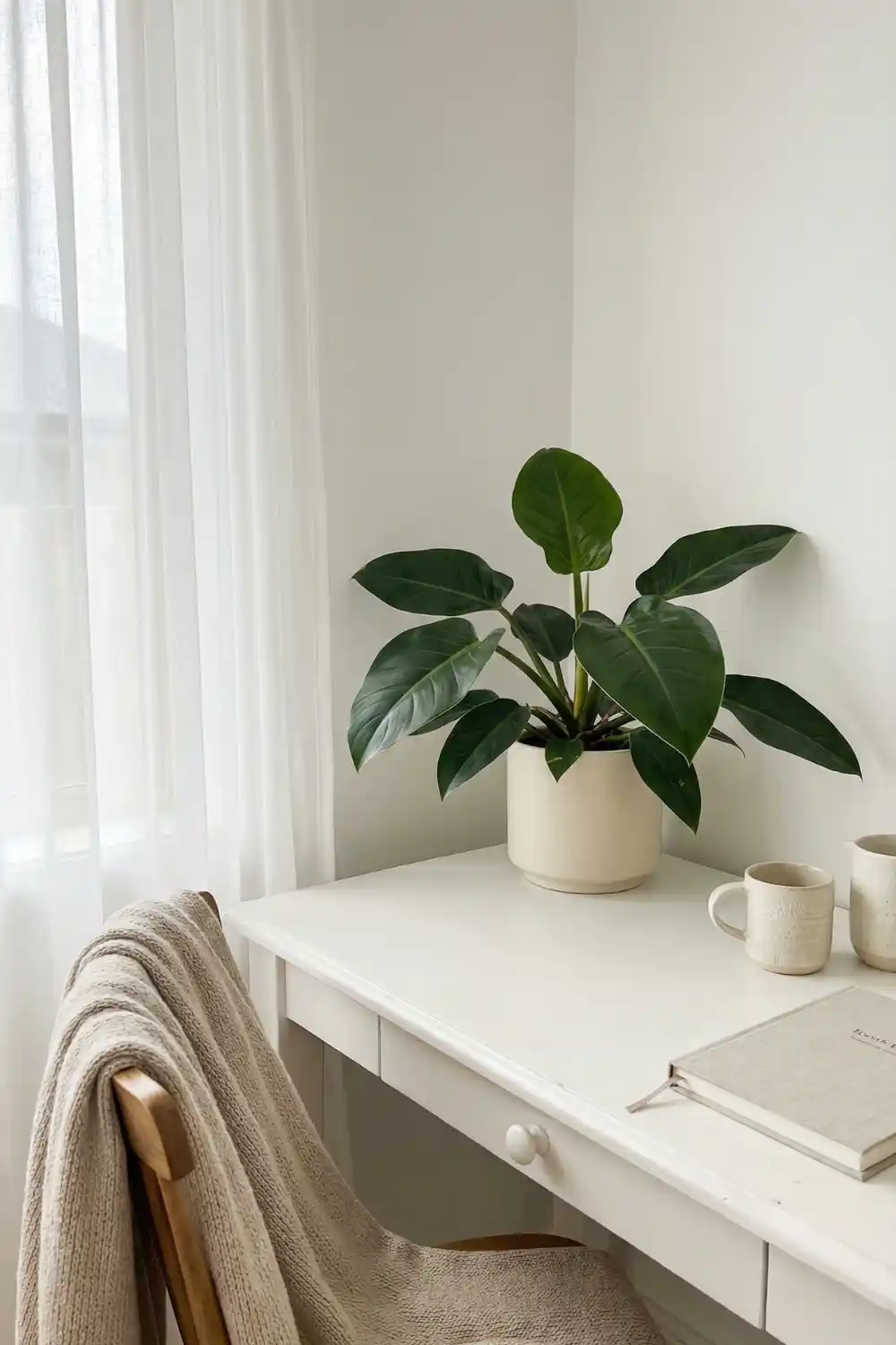 Neutral indoor plant decor with glossy philodendron in cream ceramic pot on white desk