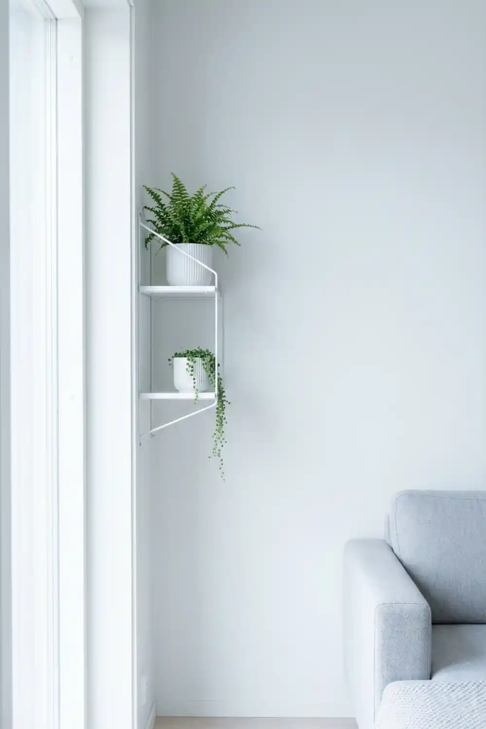 White two tier indoor plant shelf beside bright window with Boston fern and trailing string of pearls
