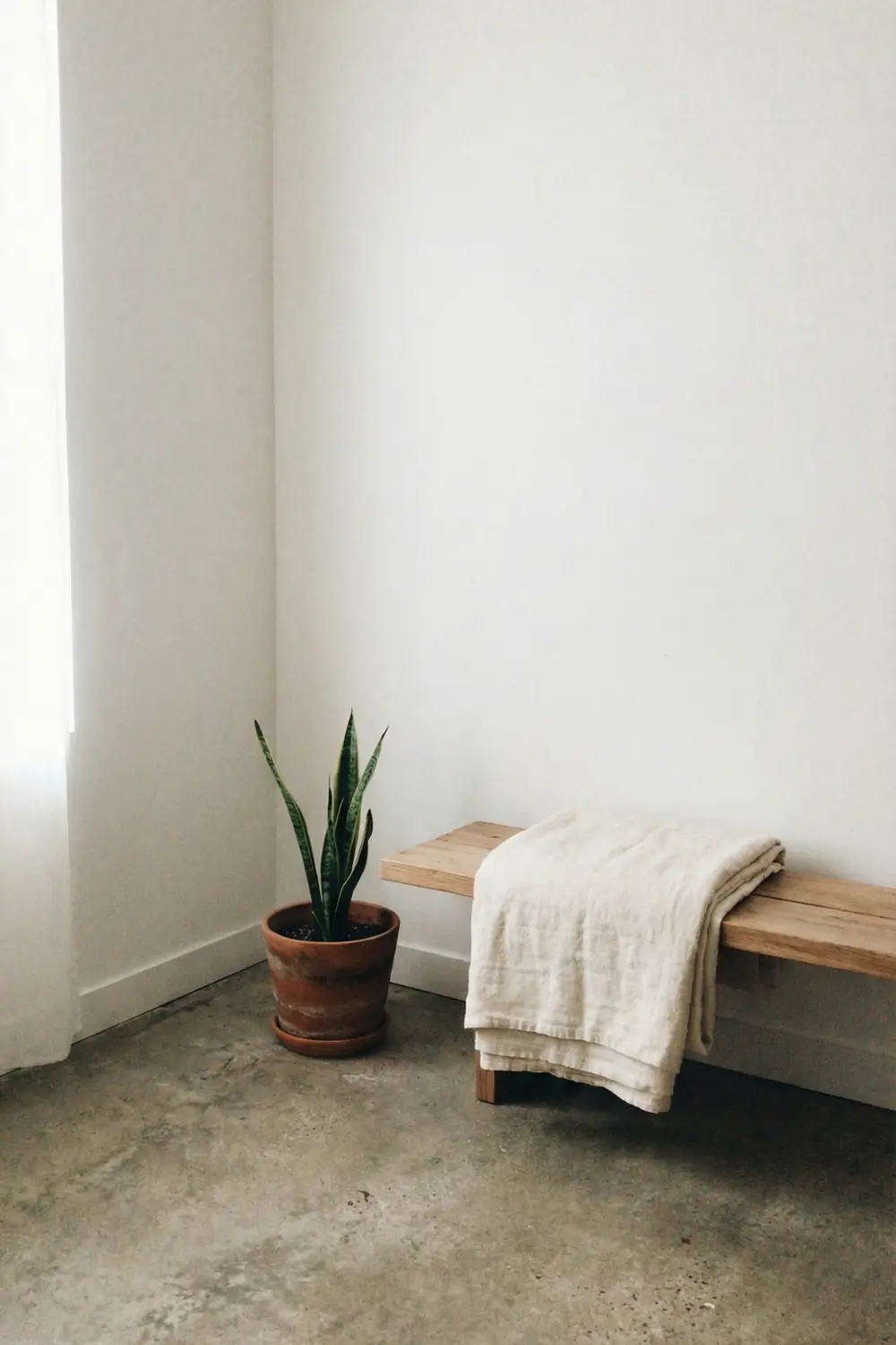 Minimal empty corner decor with low wooden bench linen throw and snake plant