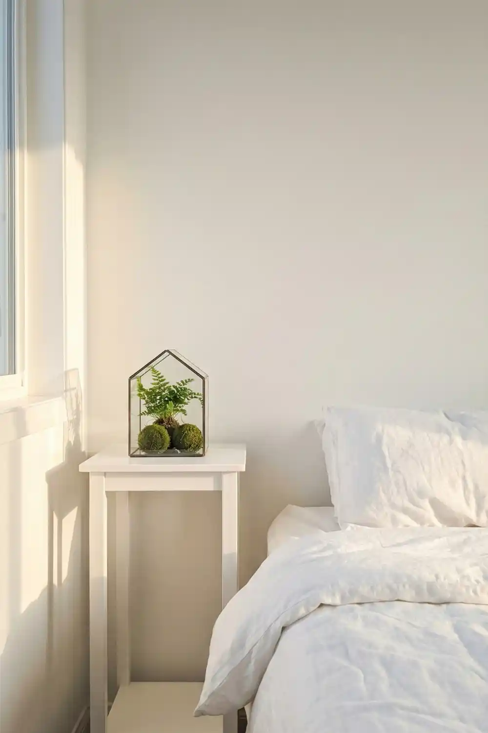 Minimal indoor plant decor with glass terrarium holding tiny fern and moss balls on bedside table