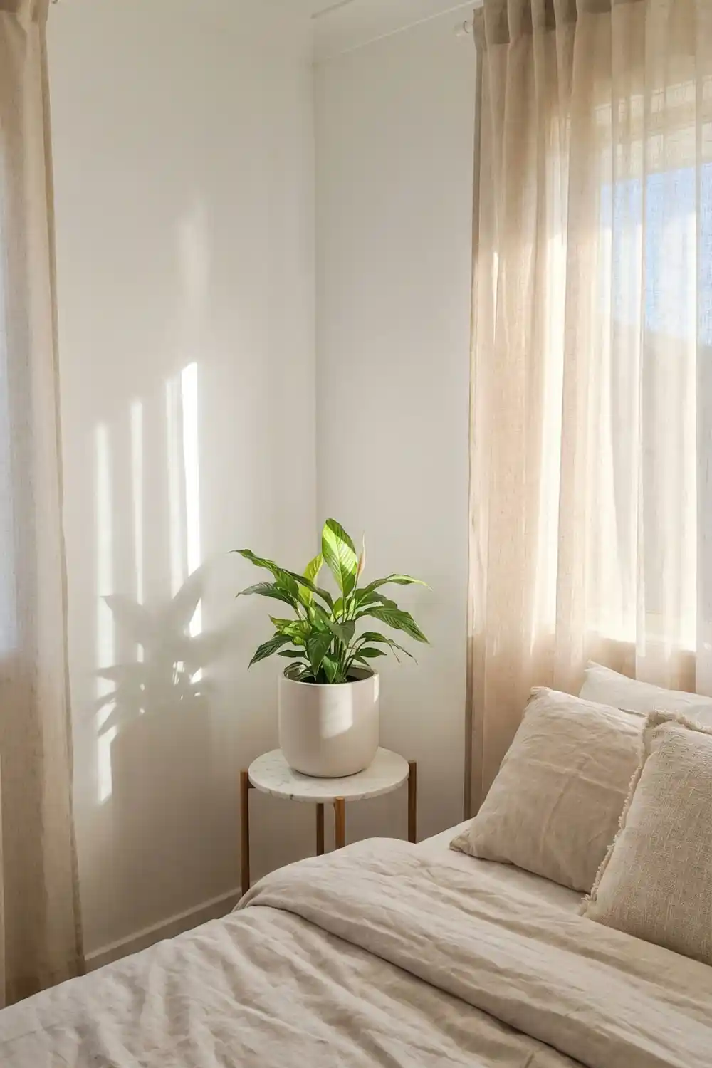 Minimal indoor plant decor with peace lily in white pot on round marble plant stand