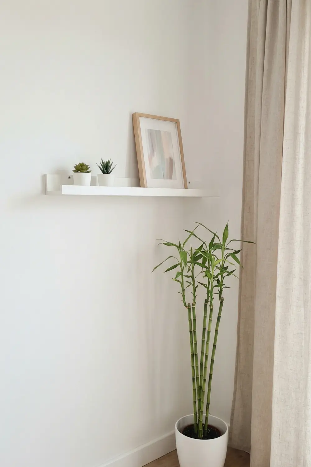 Neutral empty corner decor with white floating shelf succulents and tall bamboo plant