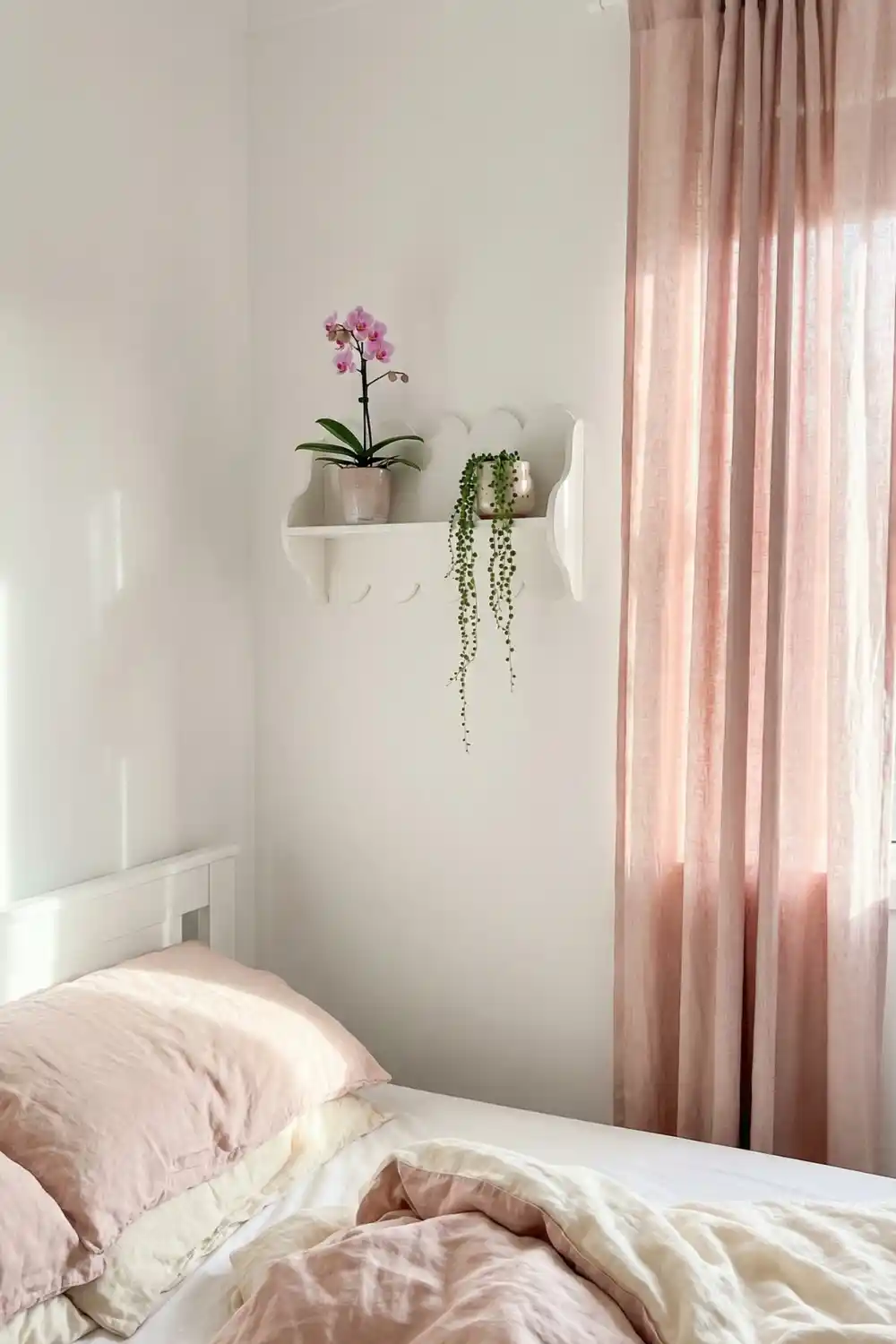 White scalloped pop shelf with pink orchid and trailing string of pearls in blush ceramic pots