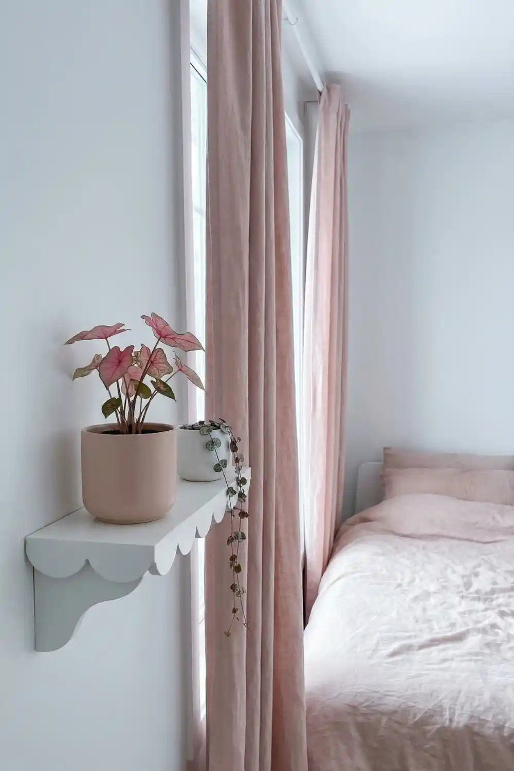 White scalloped floating shelf with pink caladium and trailing string of hearts in blush ceramic pots