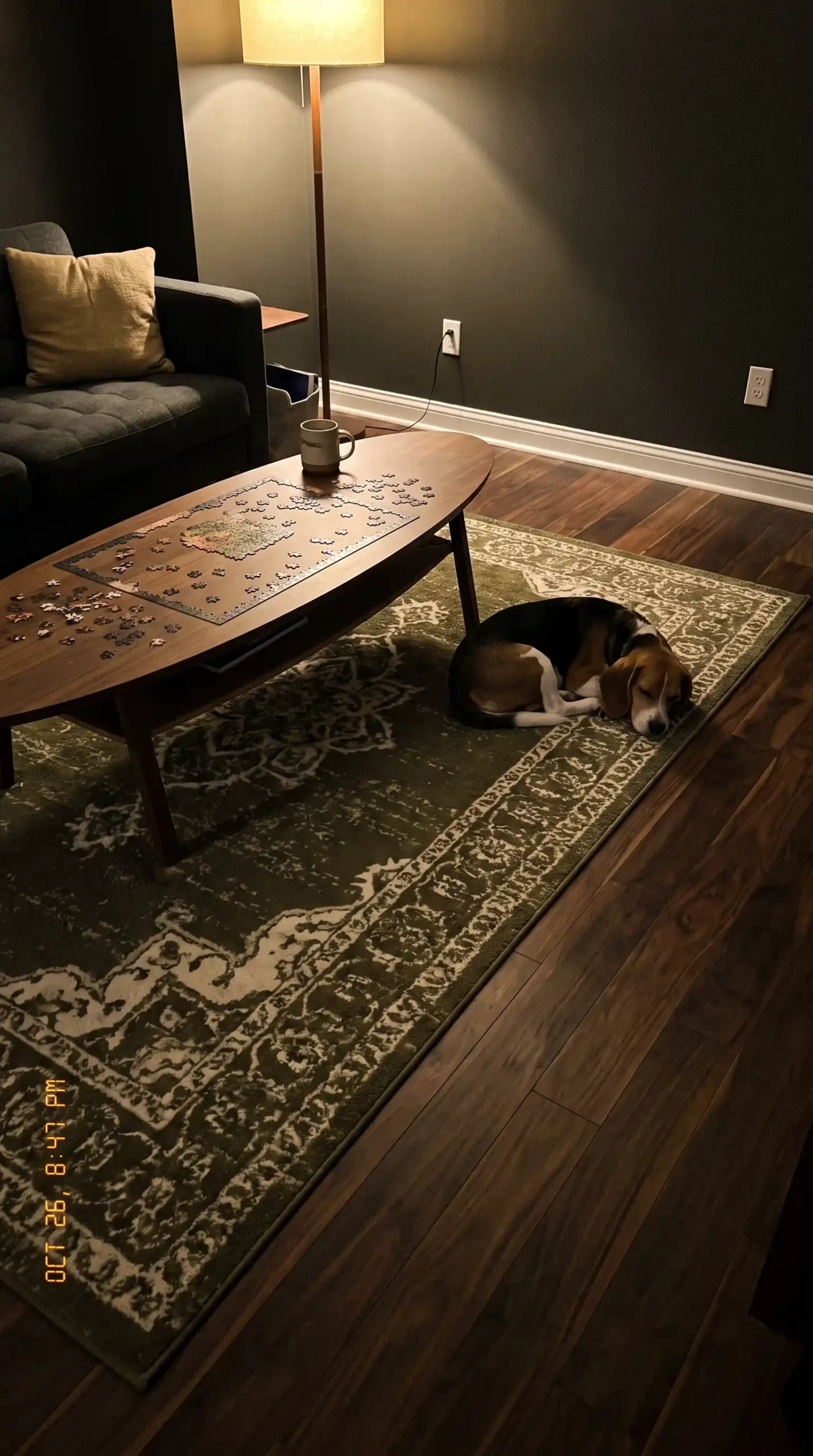 Large dark olive green and cream abstract rug on dark walnut living room floor with low coffee table and beagle dog