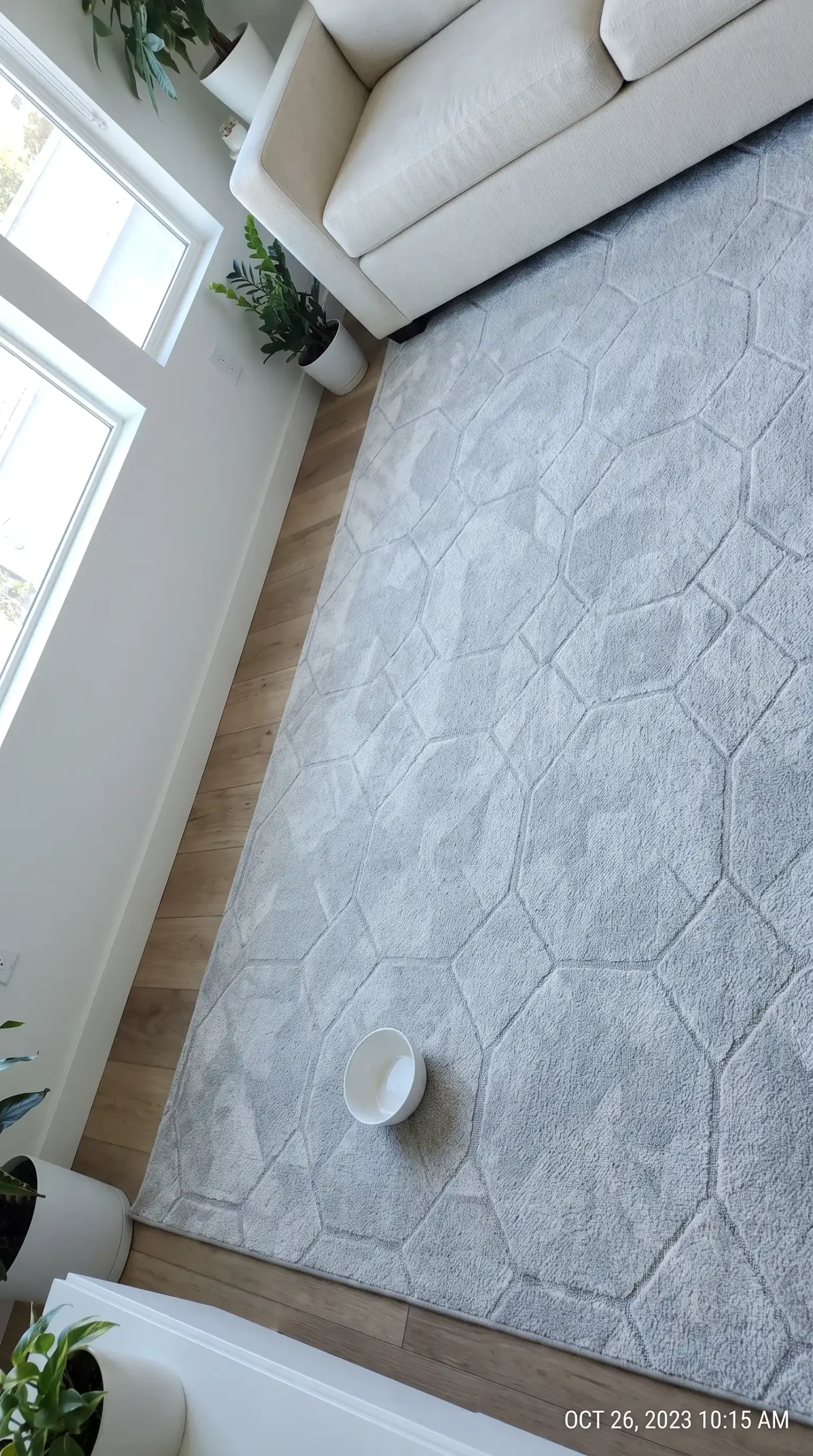 Large light grey geometric patterned area rug on modern living room floor with cream sofa above