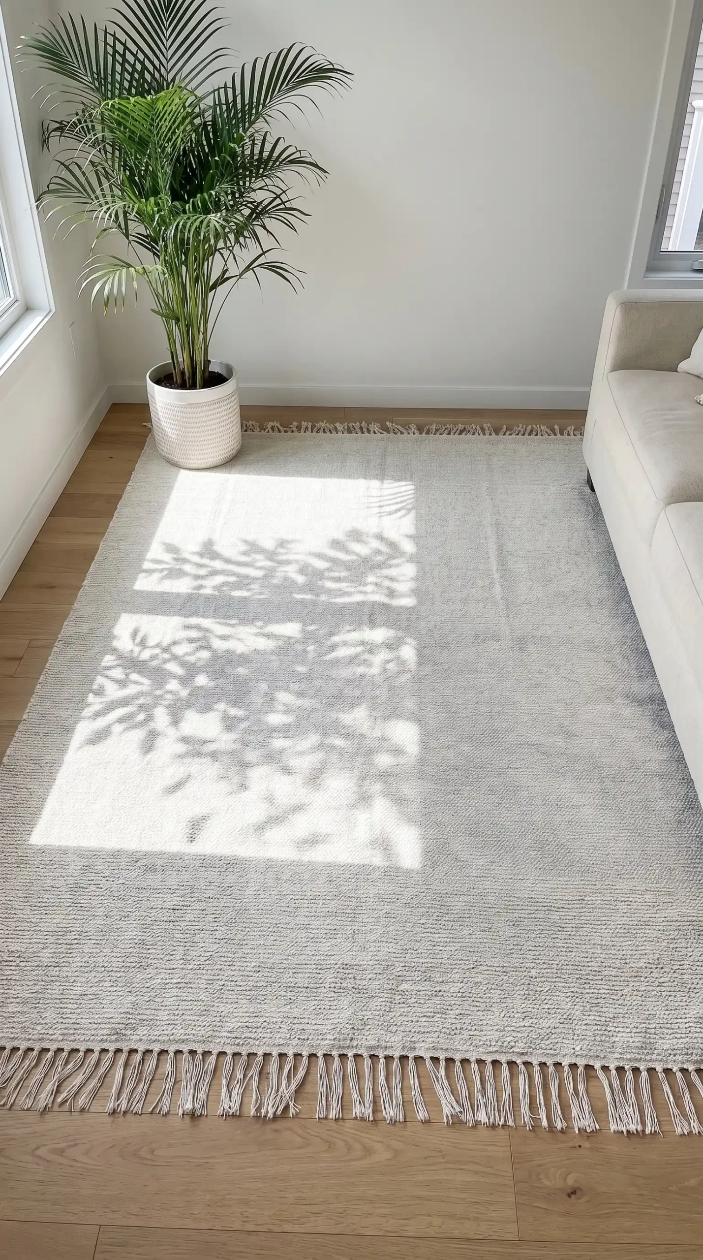 Large ivory and white hand loomed cotton rug on light oak living room floor with areca palm shadow pattern across surface
